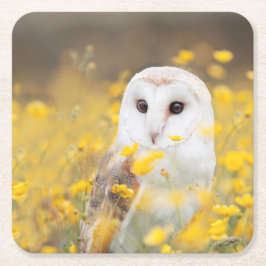 Barn Owl in Geel Veldveld Kartonnen Onderzetters