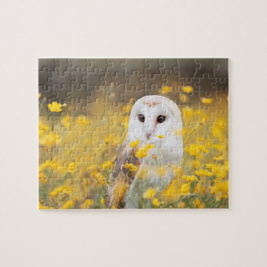 Barn Owl in Geel Veldveld Legpuzzel (Horizontaal)