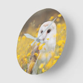 Barn Owl in Geel Veldveld Ronde Klok (Hoek)