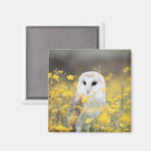 Barn Owl in Meadow Magnet (Voorkant / Achterkant)