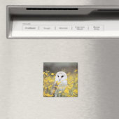 Barn Owl in Meadow Magnet (Insitu (Vaatwasser))