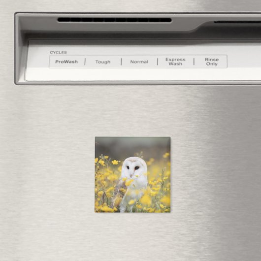 Barn Owl in Meadow Magnet (Insitu (Vaatwasser))