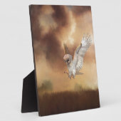 Barn Owl in vlucht Fotoplaat (Zijkant)