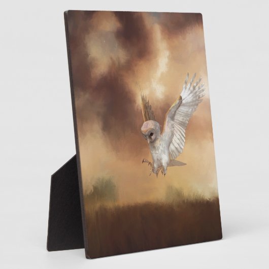 Barn Owl in vlucht Fotoplaat (Zijkant)