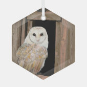 Barn Owl in Window Waterverf Art Glass Ornament (Voorkant)