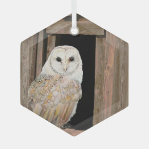 Barn Owl in Window Waterverf Art Glass Ornament