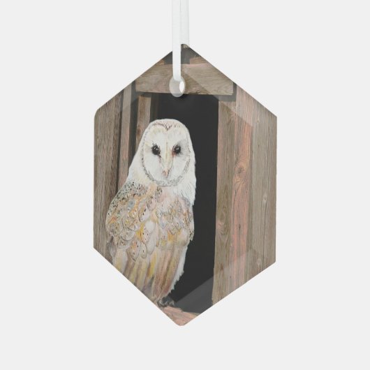 Barn Owl in Window Waterverf Art Glass Ornament (Voorkant links)