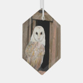 Barn Owl in Window Waterverf Art Glass Ornament (Voorkant Rechts)
