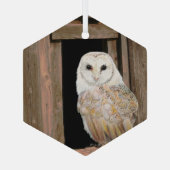Barn Owl in Window Waterverf Art Glass Ornament (Achterkant)