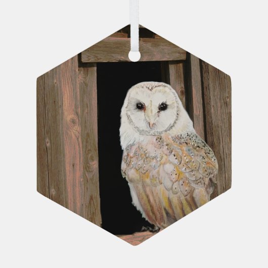 Barn Owl in Window Waterverf Art Glass Ornament (Achterkant)