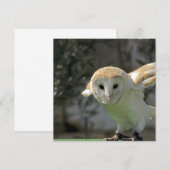 Barn Owl Invitation Kaart (Voorkant / Achterkant)