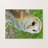 Barn Owl Jigzaapuzzle Legpuzzel (Horizontaal)