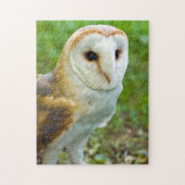 Barn Owl Jigzaapuzzle Legpuzzel (Verticaal)