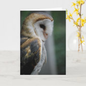 Barn Owl Kaart (Gele Bloem)