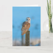 Barn owl kaart (Voorkant)