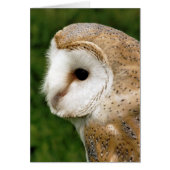 BARN OWL KAART (Voorkant)