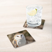 Barn Owl Kartonnen Onderzetters (Insitu)