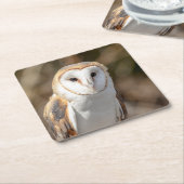 Barn Owl Kartonnen Onderzetters (Schuin)