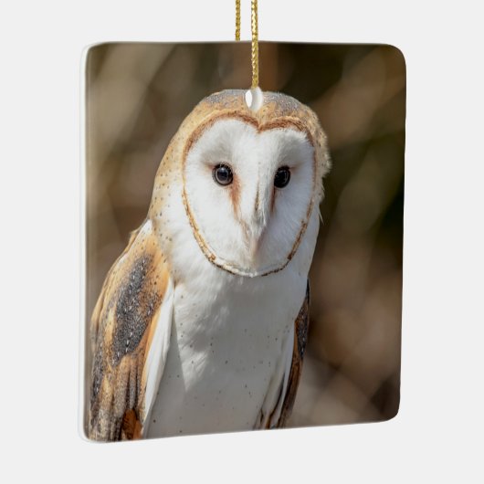 Barn Owl Keramisch Ornament (Rechts)
