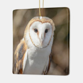 Barn Owl Keramisch Ornament (Links)