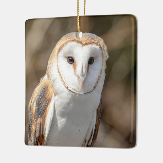 Barn Owl Keramisch Ornament (Links)