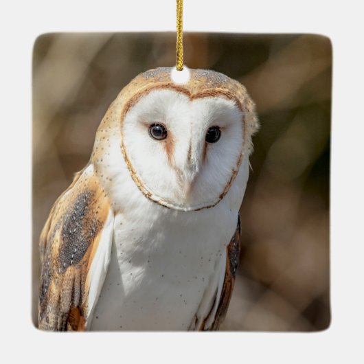Barn Owl Keramisch Ornament (Achterkant)