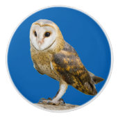 Barn Owl Keramische Knop (Voorkant)