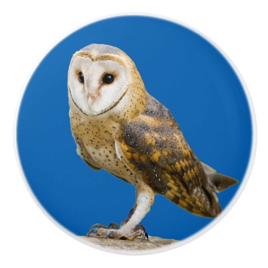 Barn Owl Keramische Knop (Voorkant)