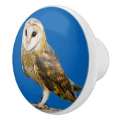 Barn Owl Keramische Knop (Rechts)