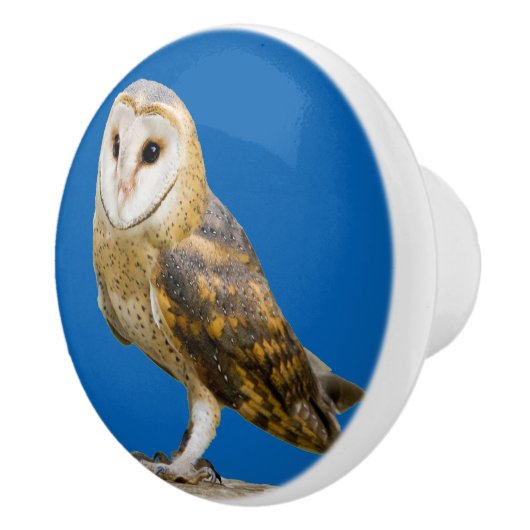 Barn Owl Keramische Knop (Rechts)
