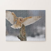 Barn owl landt naar een piek legpuzzel (Horizontaal)