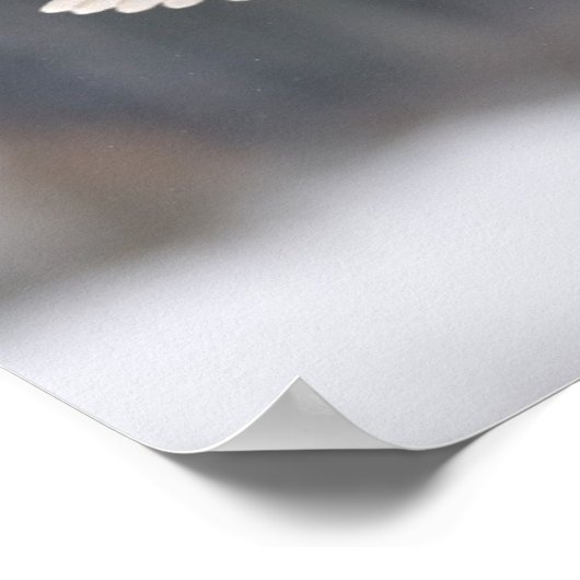 Barn owl landt naar een piek poster (Hoek)