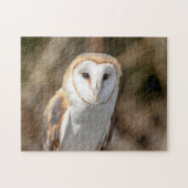 Barn Owl Legpuzzel (Horizontaal)