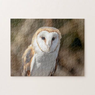 Barn Owl Legpuzzel