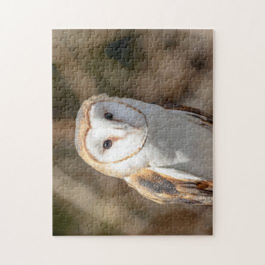 Barn Owl Legpuzzel (Verticaal)