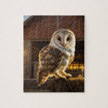 Barn Owl