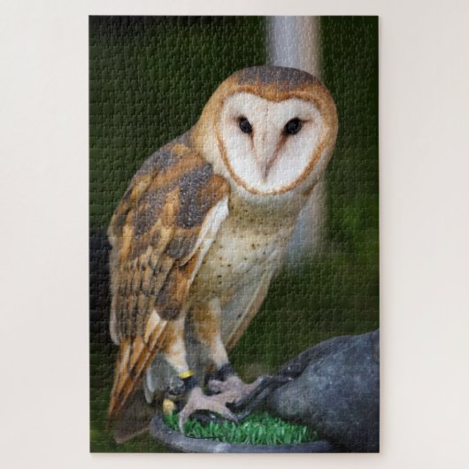 Barn Owl Legpuzzel (Verticaal)