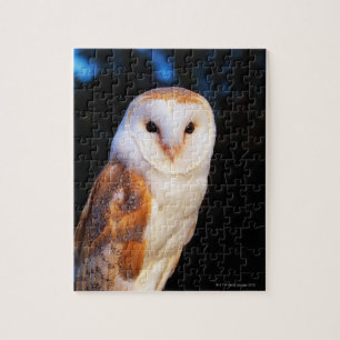 Barn Owl Legpuzzel