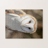 Barn Owl Legpuzzel (Horizontaal)