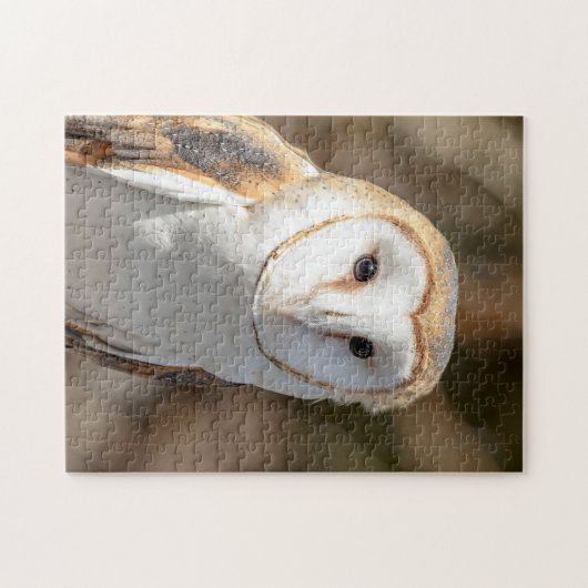 Barn Owl Legpuzzel (Horizontaal)