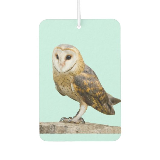 Barn Owl Luchtverfrisser (Voorkant)