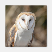 Barn Owl Magneet (Voorkant)