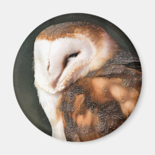BARN OWL MAGNEET