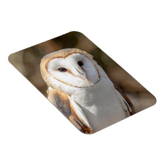 Barn Owl Magneet (Rechterzijde)