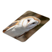 Barn Owl Magneet (Linkerzijde)