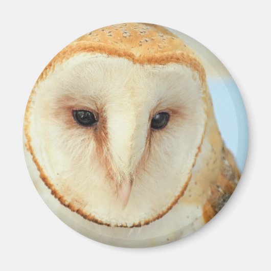Barn owl magneet (Voorkant)