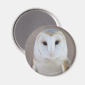 Barn Owl Magnet (Voorkant / Achterkant)