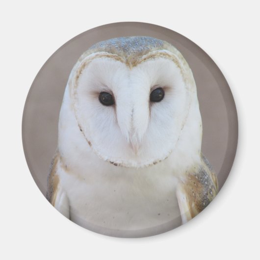 Barn Owl Magnet (Voorkant)