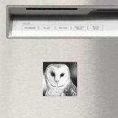 Barn Owl Magnet - "Grayson" (Insitu (Vaatwasser))