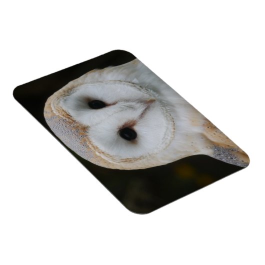 Barn Owl Magnet Magneet (Rechterzijde)